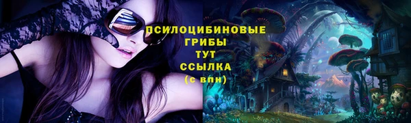 крисы Краснотурьинск