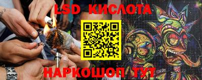 мескалин Камышлов