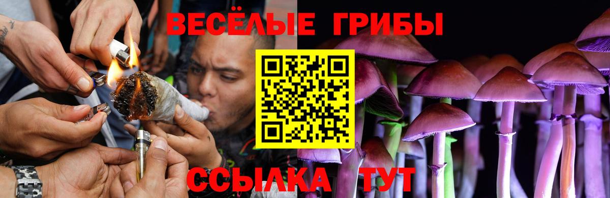 Галлюциногенные грибы Cubensis  Вход с VPN  Уфа 